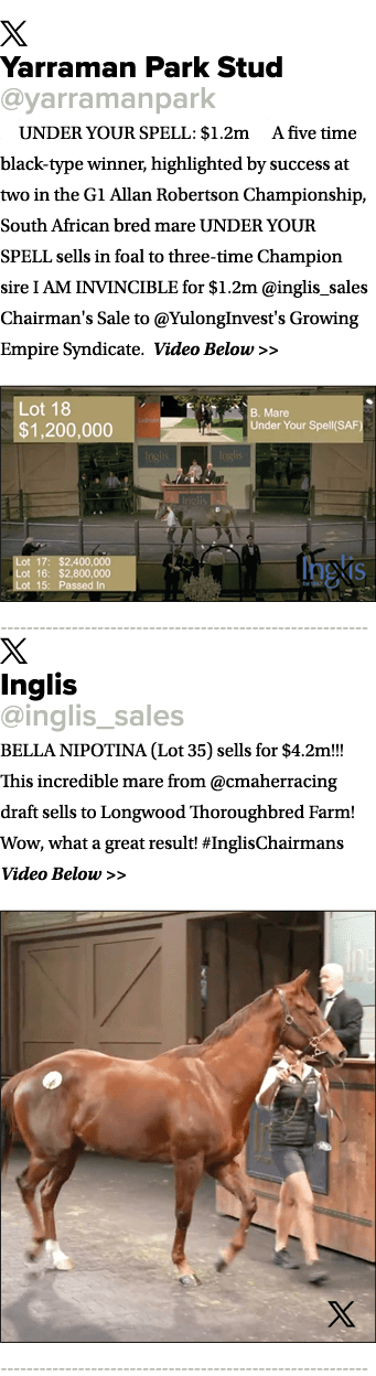 ￼ Yarraman Park Stud @yarramanpark 🔥UNDER YOUR SPELL: $1.2m🔥 A five time black type winner, highlighted by success ...