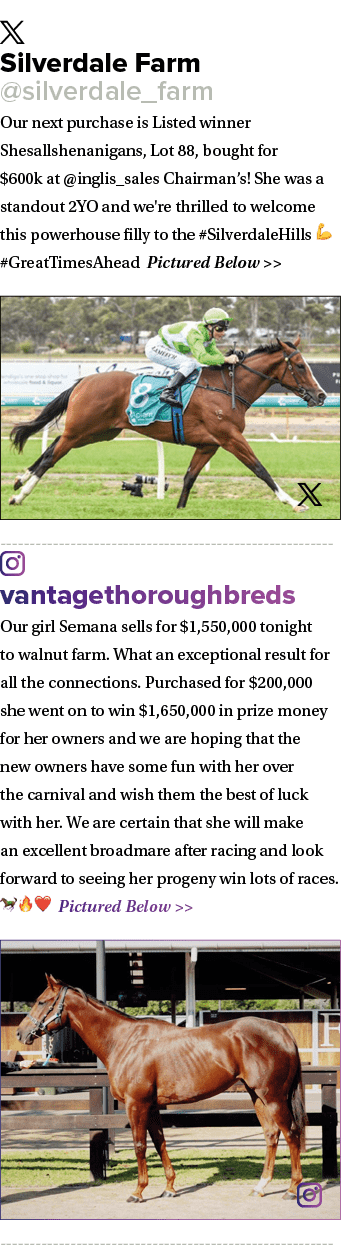 ￼ Silverdale Farm @silverdale_farm Our next purchase is Listed winner Shesallshenanigans, Lot 88, bought for $600k at...