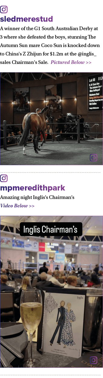 ￼ sledmerestud A winner of the G1 South Australian Derby at 3 where she defeated the boys, stunning The Autumn Sun ma...