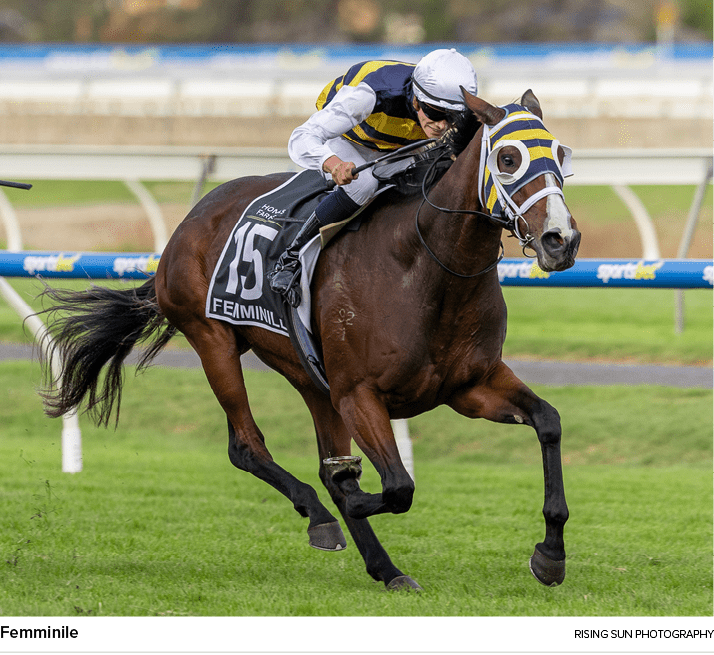 Femminile Rising Sun Photograph