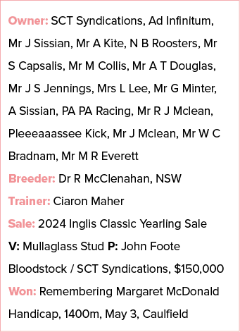 Owner: SCT Syndications, Ad Infinitum, Mr J Sissian, Mr A Kite, N B Roosters, Mr S Capsalis, Mr M Collis, Mr A T Doug...