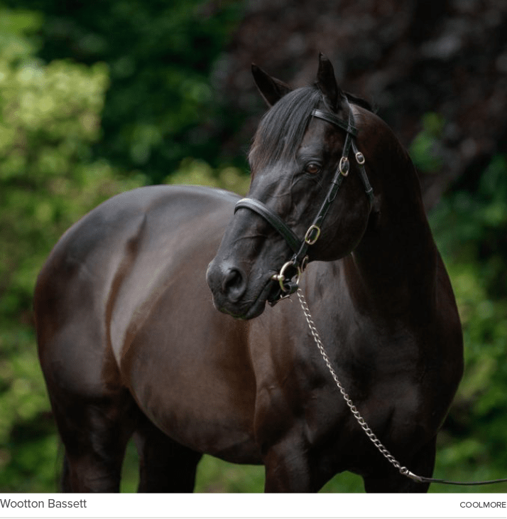 Wootton Bassett coolmor