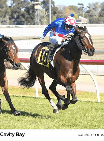 Cavity Bay racing photo