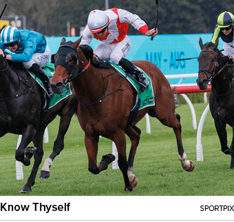 Know Thyself sportpi