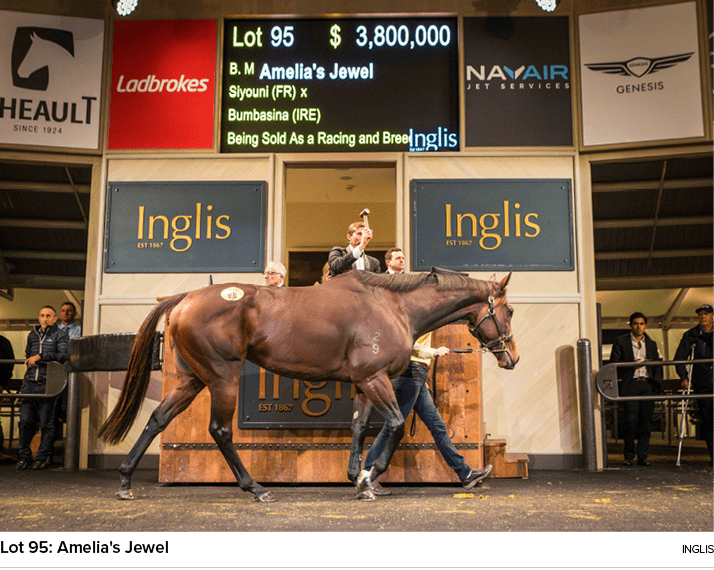 Lot 95: Amelia's Jewel ingli