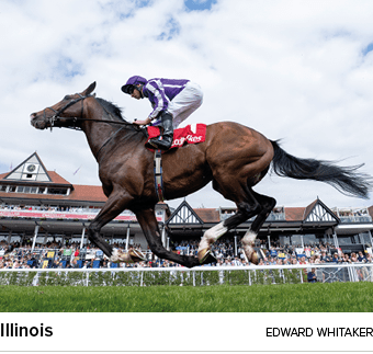 Illinois Edward Whitake