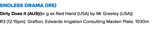 Endless Drama (ire) Dirty Does It (AUS)(br g ex Red Hand (USA) by Mr Greeley (USA)) R3 (12:15pm): Grafton, Edwards Ir...