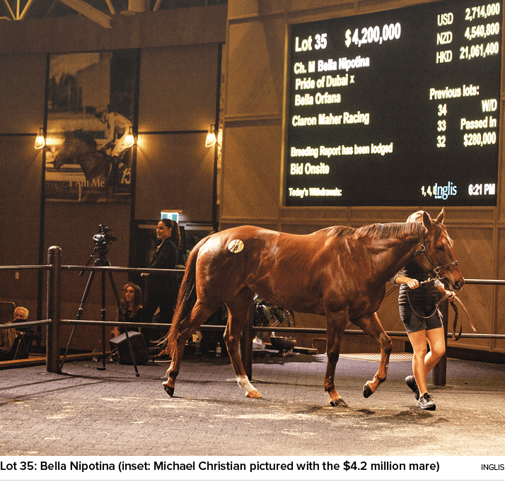 Lot 35: Bella Nipotina (inset: Michael Christian pictured with the $4.2 million mare) ingli