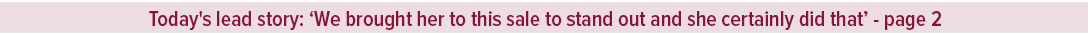 Today's lead story: ‘We brought her to this sale to stand out and she certainly did that’ page 