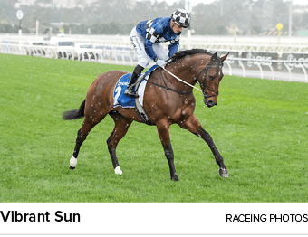 Vibrant Sun raceing photo