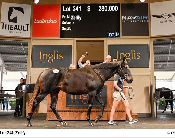 Lot 241: Zelify Ingli