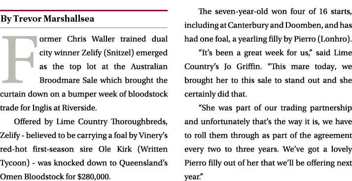 ￼ Former Chris Waller trained dual city winner Zelify (Snitzel) emerged as the top lot at the Australian Broodmare Sa...