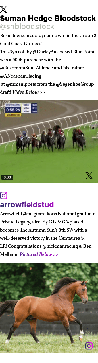 ￼ Suman Hedge Bloodstock @shbloodstock Bosustow scores a dynamic win in the Group 3 Gold Coast Guineas! This 3yo colt...
