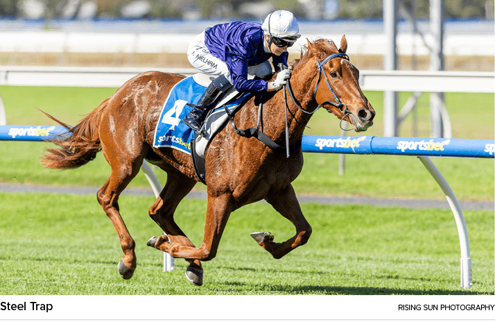 Steel Trap Rising Sun Photograph