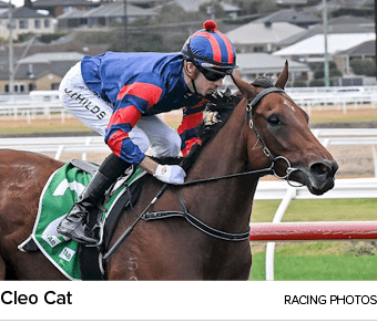 Cleo Cat racing photo