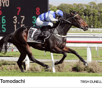 Tomodachi Trish Dunel