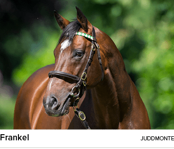 Frankel juddmont