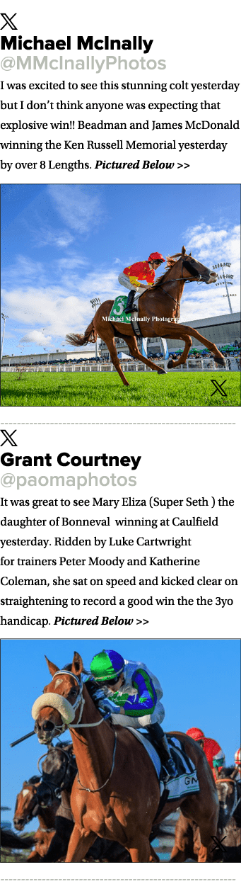 ￼ Michael McInally @MMcInallyPhotos I was excited to see this stunning colt yesterday but I don’t think anyone was ex...