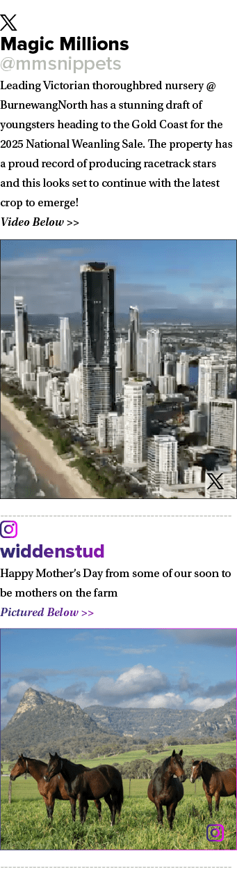 ￼ Magic Millions @mmsnippets Leading Victorian thoroughbred nursery @BurnewangNorth has a stunning draft of youngster...