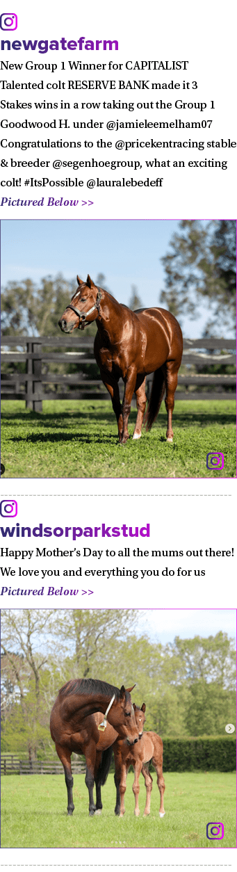 ￼ newgatefarm New Group 1 Winner for CAPITALIST Talented colt RESERVE BANK made it 3 Stakes wins in a row taking out ...