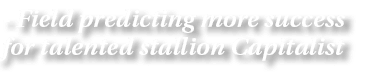  Field predicting more success for talented stallion Capitalist