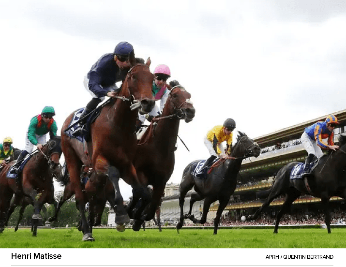 Henri Matisse APRH / QUENTIN BERTRAN