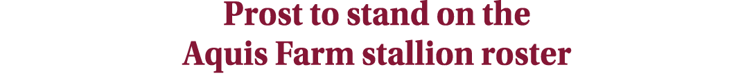Prost to stand on the Aquis Farm stallion roster