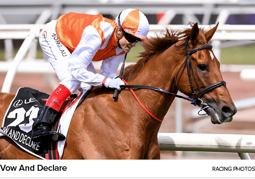 Vow And Declare Racing Photo