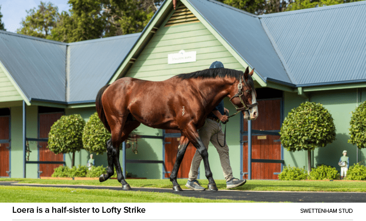 Loera is a half sister to Lofty Strike Swettenham Stu