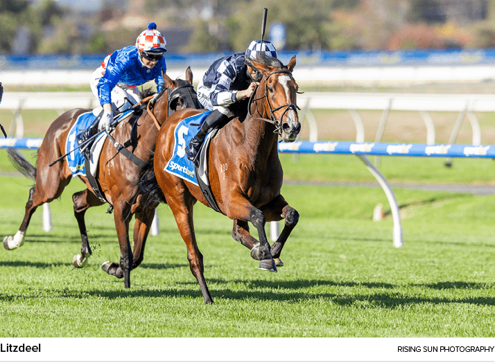 Litzdeel Rising Sun Photograph