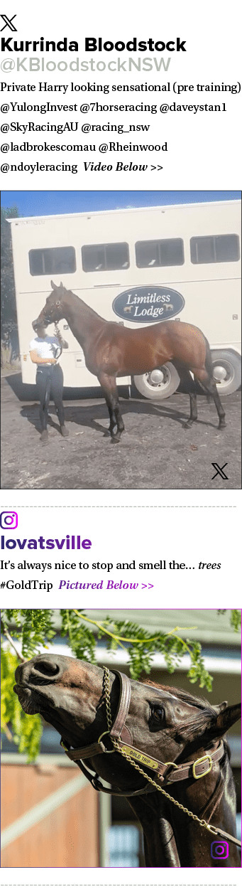 ￼ Kurrinda Bloodstock @KBloodstockNSW Private Harry looking sensational (pre training) @YulongInvest @7horseracing @d...