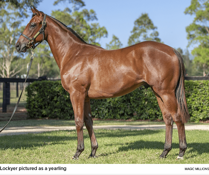 Lockyer pictured as a yearling magic million