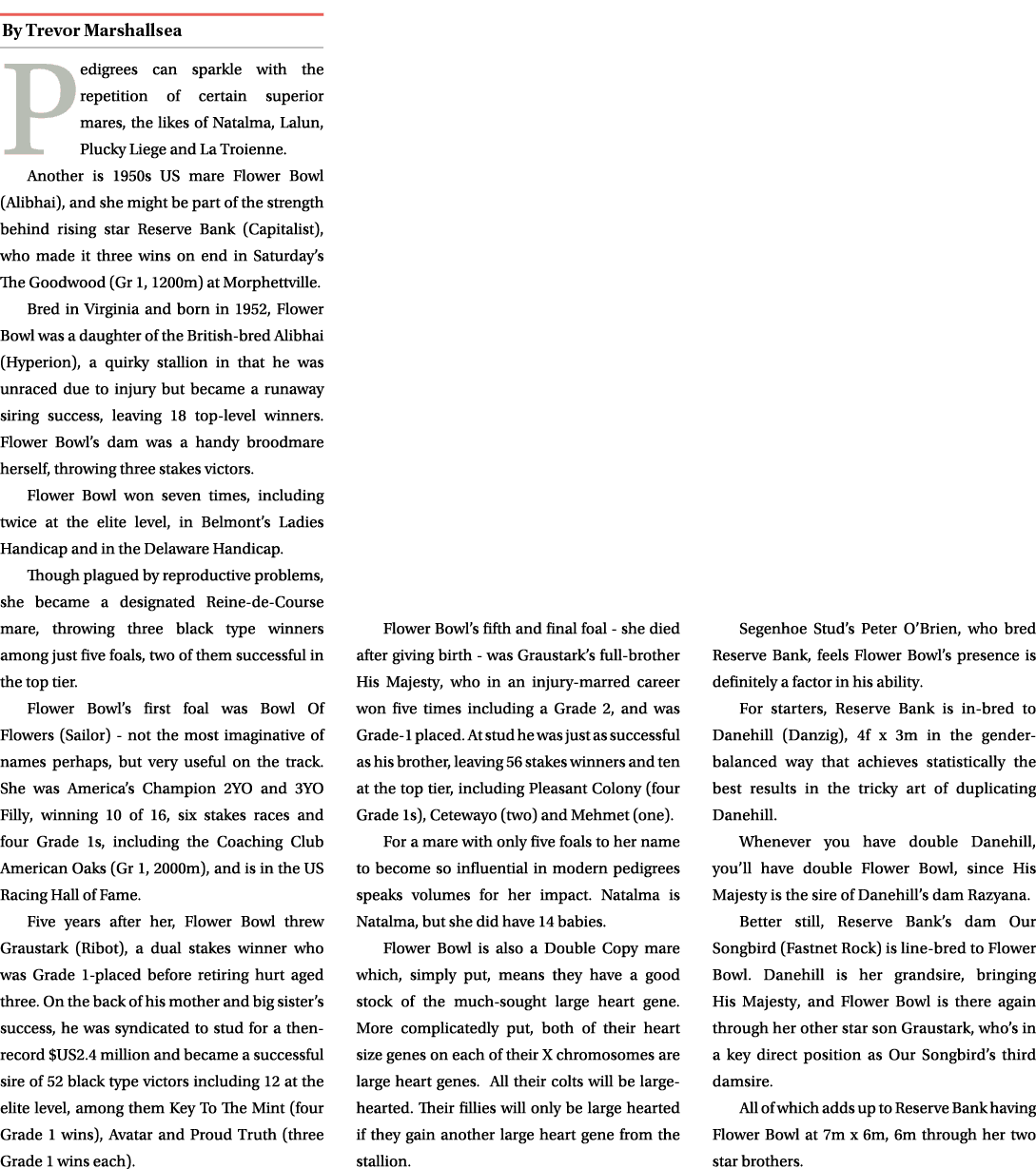￼ Pedigrees can sparkle with the repetition of certain superior mares, the likes of Natalma, Lalun, Plucky Liege and ...