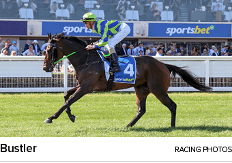 Bustler racing photo