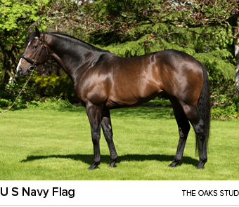 U S Navy Flag The Oaks Stud