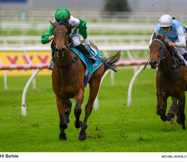 Hi Barbie Michael McInall