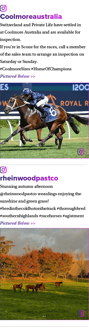 ￼ Coolmoreaustralia Switzerland and Private Life have settled in at Coolmore Australia and are available for inspecti...