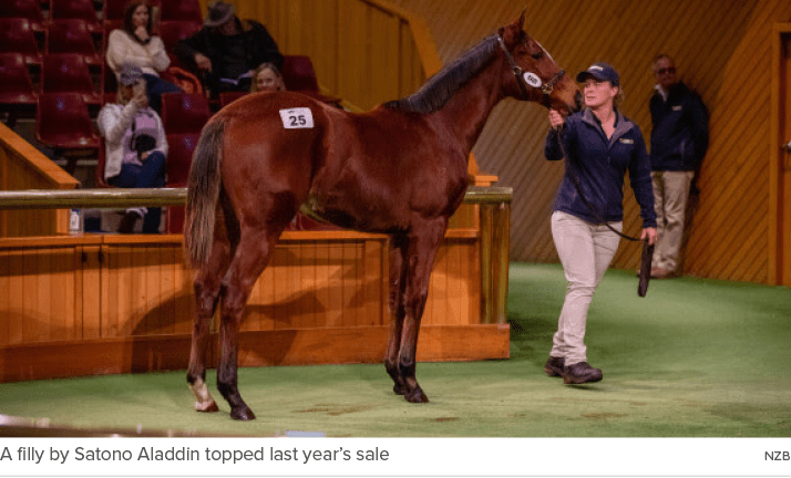A filly by Satono Aladdin topped last year’s sale NZ