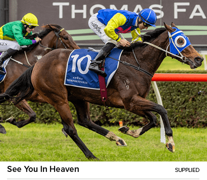 See You In Heaven Supplie