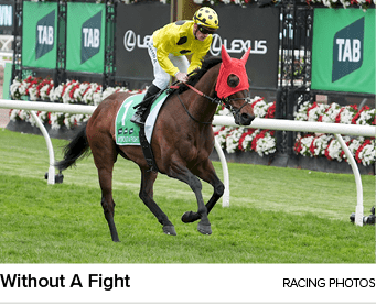 Without A Fight racing photo