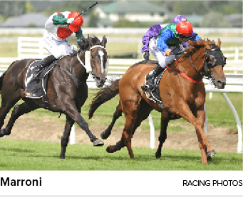 Marroni Racing Photo