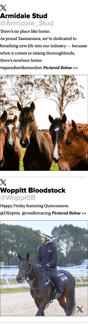 ￼ Armidale Stud @Armidale_Stud There’s no place like home. As proud Tasmanians, we’re dedicated to breathing new life...