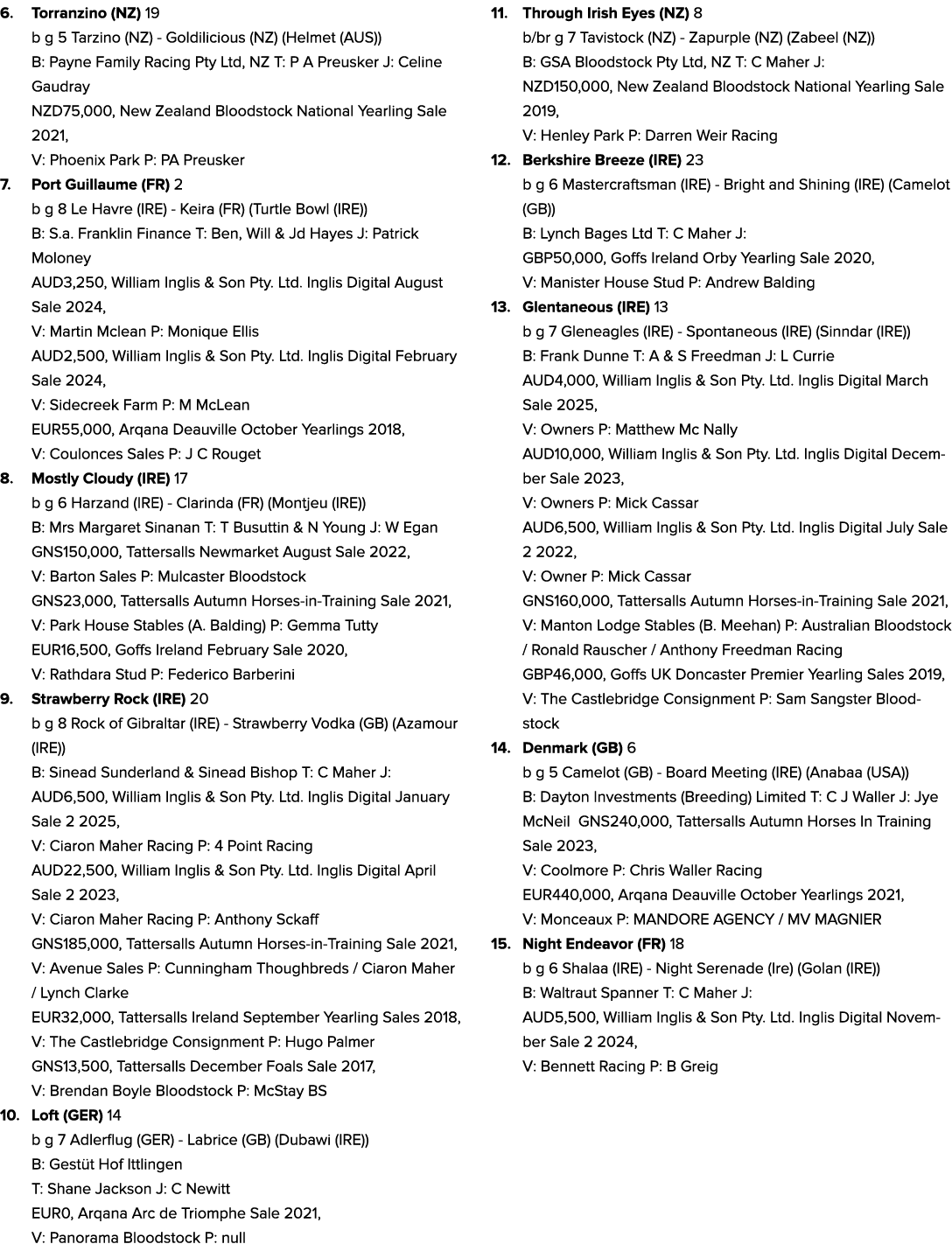 6. Torranzino (NZ) 19 b g 5 Tarzino (NZ) Goldilicious (NZ) (Helmet (AUS)) B: Payne Family Racing Pty Ltd, NZ T: P A P...