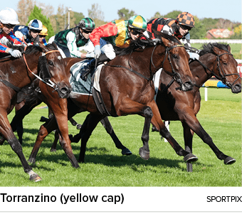 Torranzino (yellow cap) sportpi