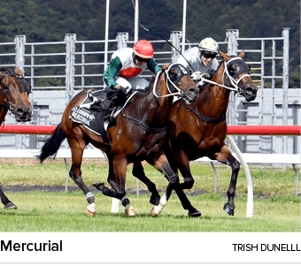 Mercurial trish dunell