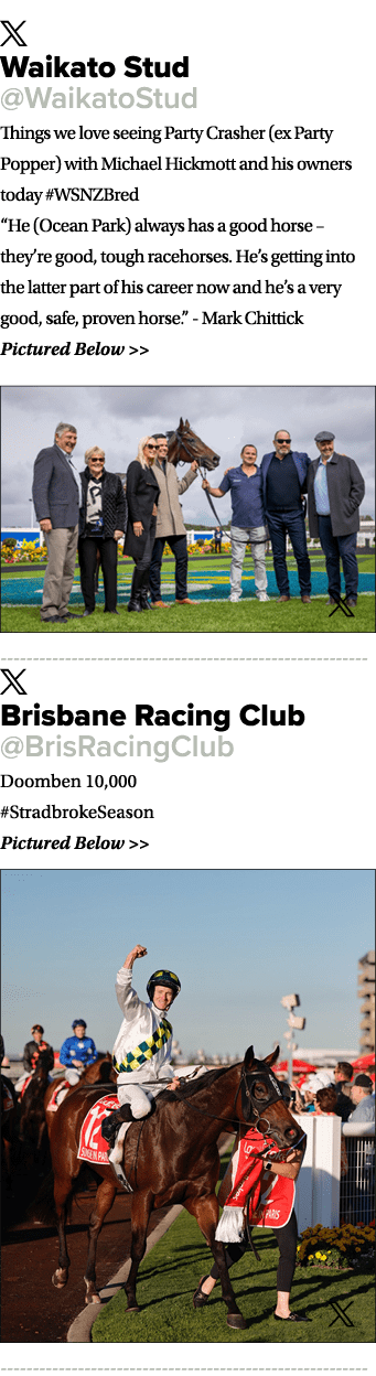 ￼ Waikato Stud @WaikatoStud Things we love seeing Party Crasher (ex Party Popper) with Michael Hickmott and his owner...