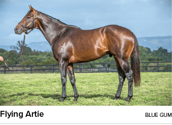 Flying Artie Blue Gu