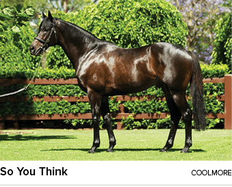 So You Think Coolmor