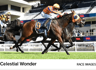 Celestial Wonder Race Image