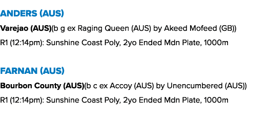 Anders (AUS) Varejao (AUS)(b g ex Raging Queen (AUS) by Akeed Mofeed (GB)) R1 (12:14pm): Sunshine Coast Poly, 2yo End...